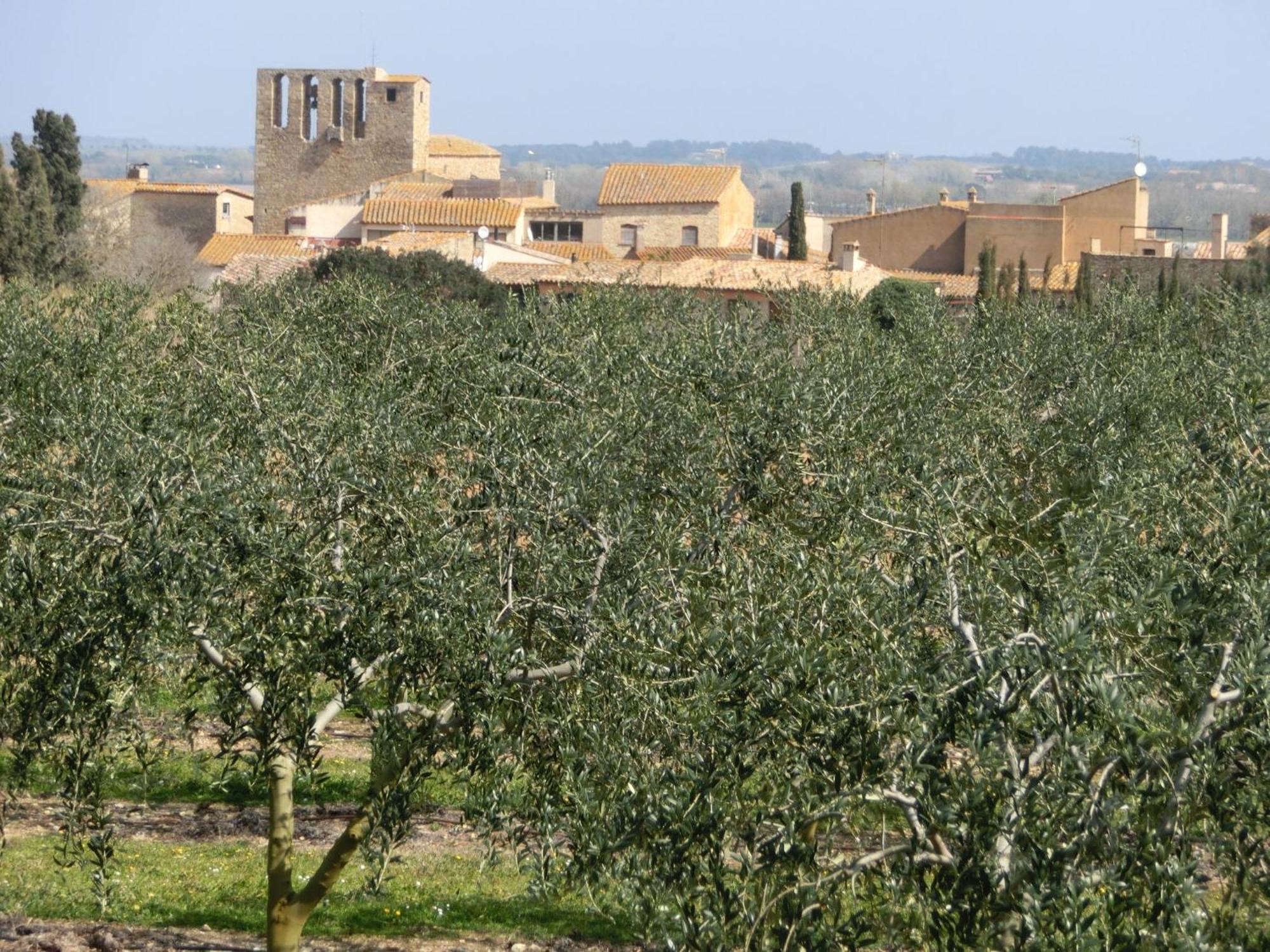 Can Barrull-Costa Brava-Emporda Sant Feliu de Boada Buitenkant foto